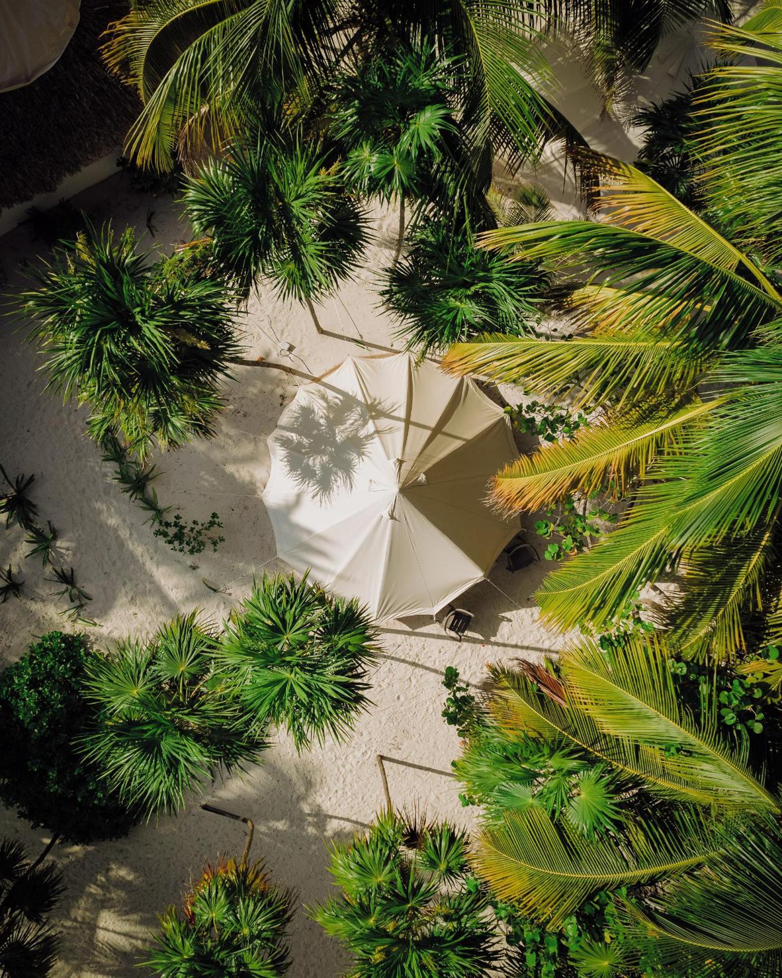 Hotel Cielo Y Selva Punta Allen Buitenkant foto