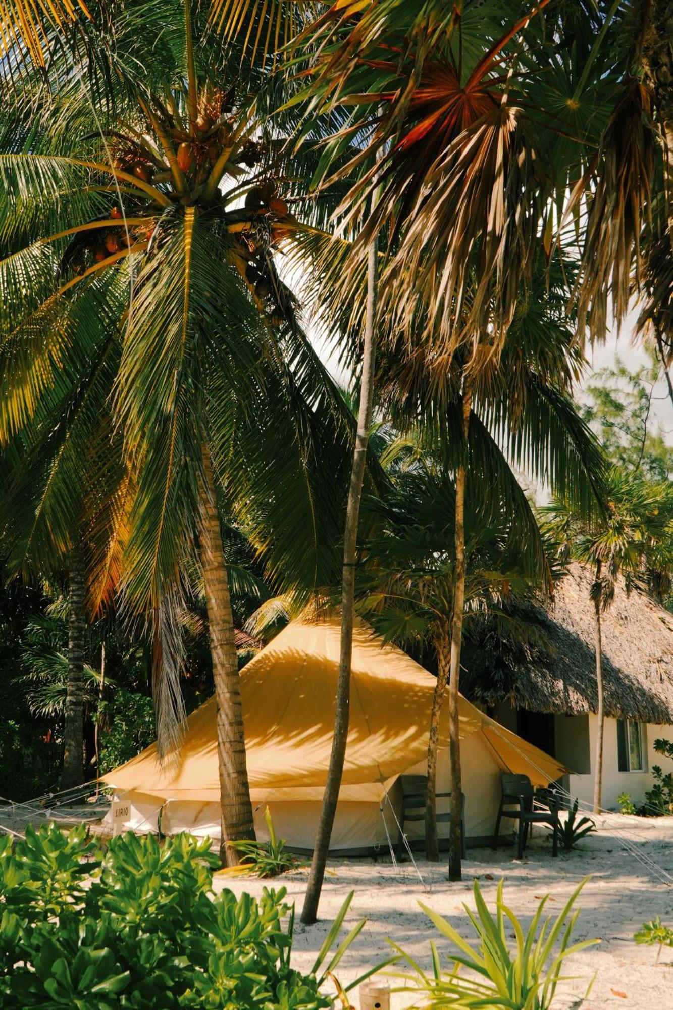 Hotel Cielo Y Selva Punta Allen Buitenkant foto