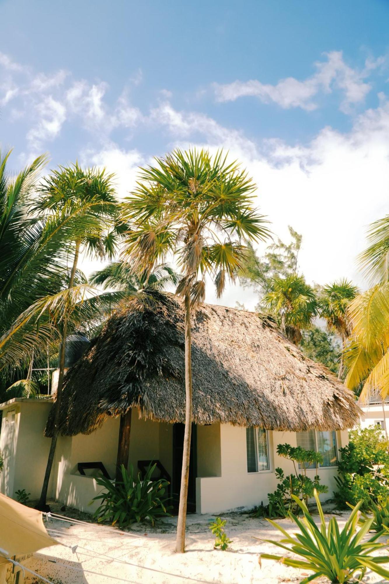 Hotel Cielo Y Selva Punta Allen Buitenkant foto