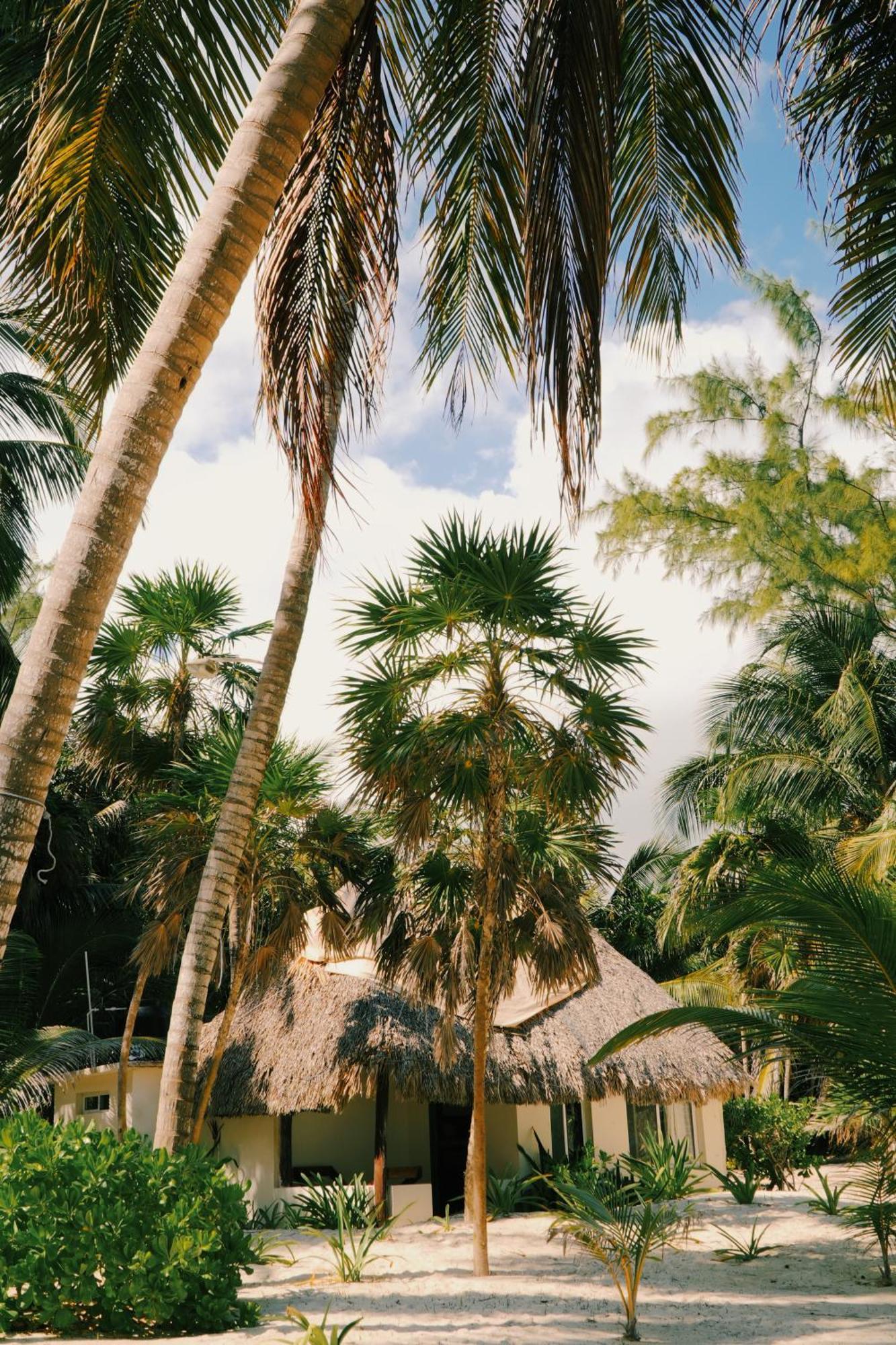 Hotel Cielo Y Selva Punta Allen Buitenkant foto