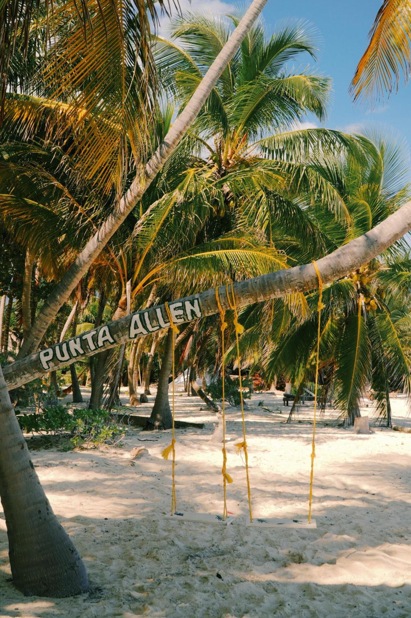 Hotel Cielo Y Selva Punta Allen Buitenkant foto