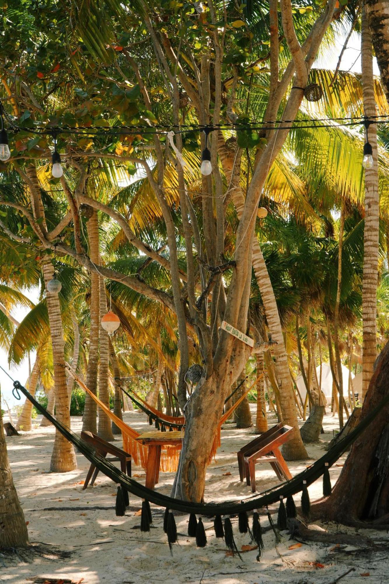 Hotel Cielo Y Selva Punta Allen Buitenkant foto