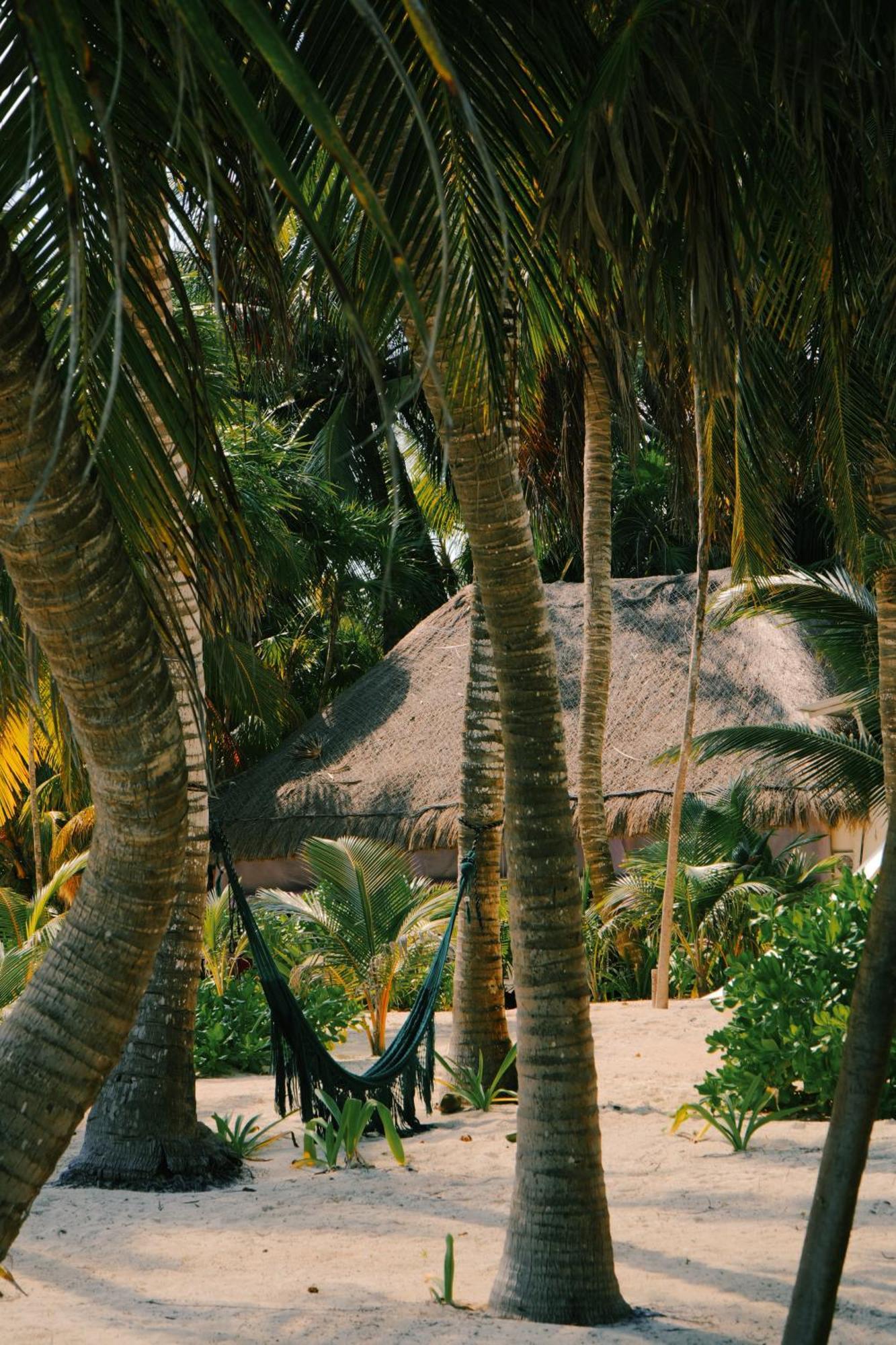 Hotel Cielo Y Selva Punta Allen Buitenkant foto